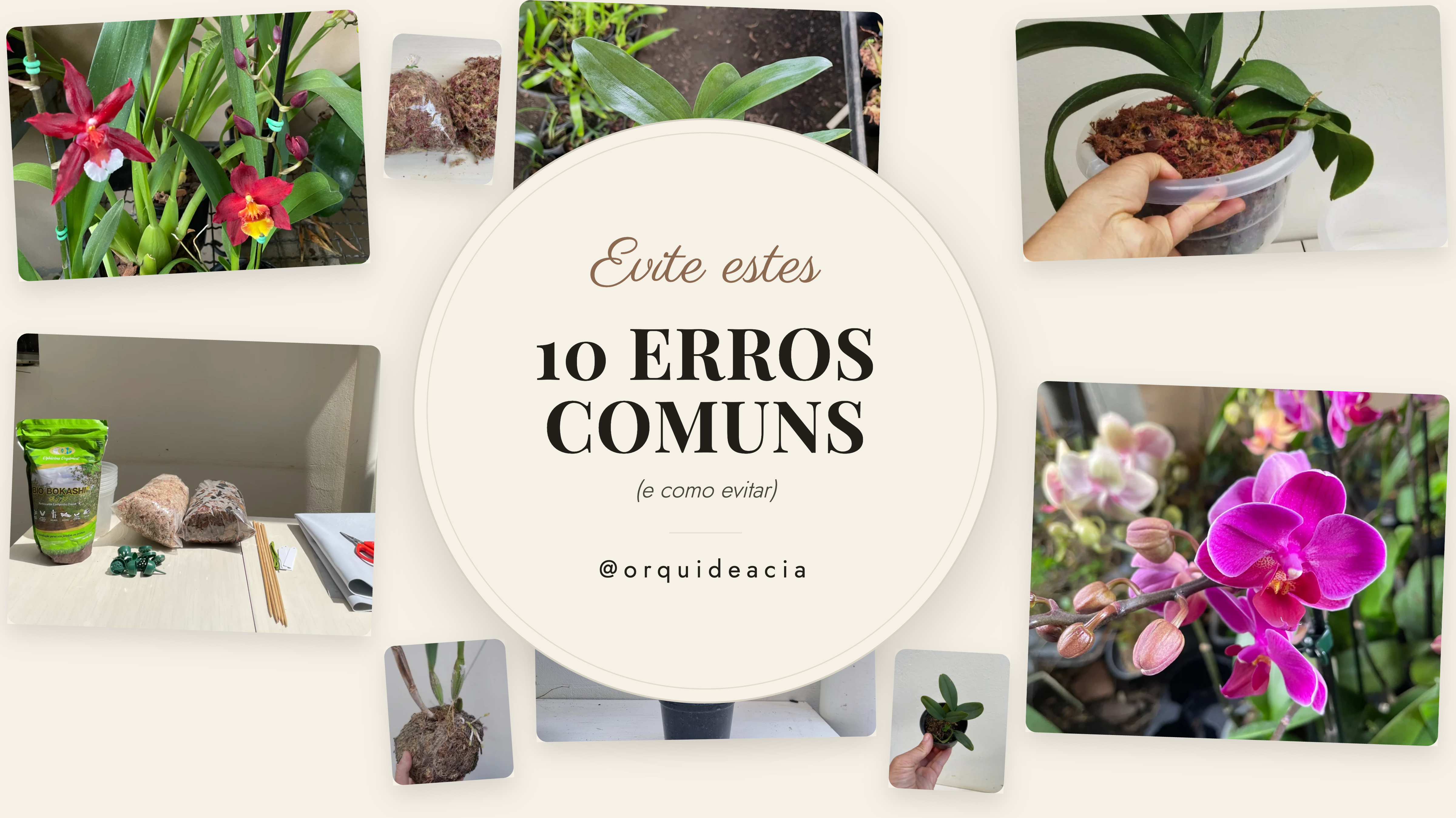 Banner 10 Erros Comuns-selection