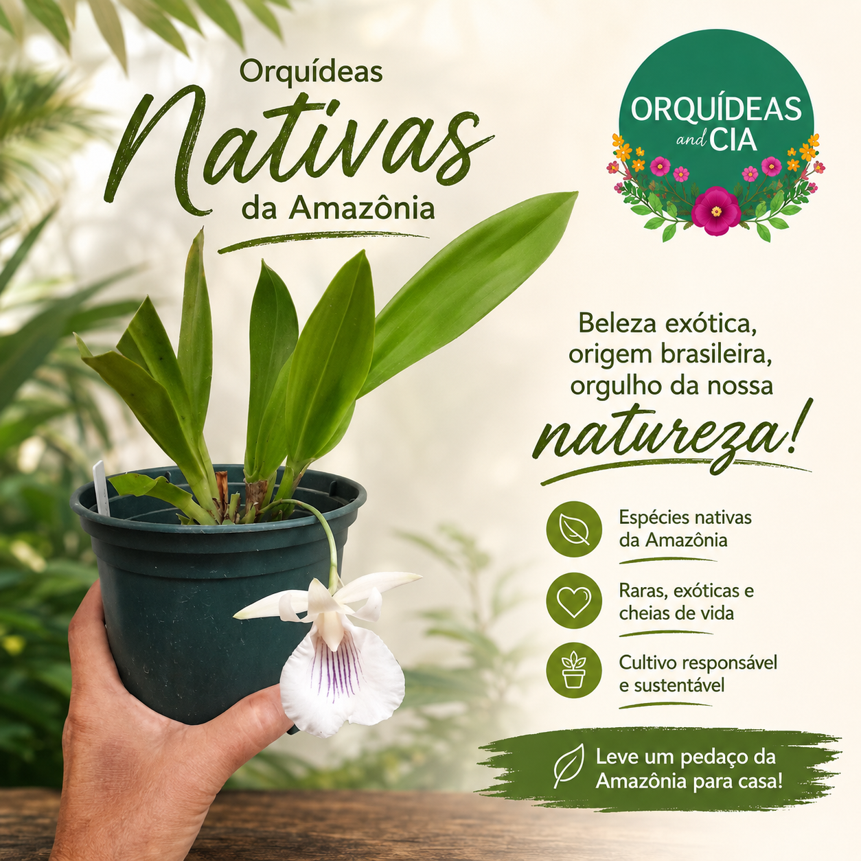 cochleantes_orquideas amazonia