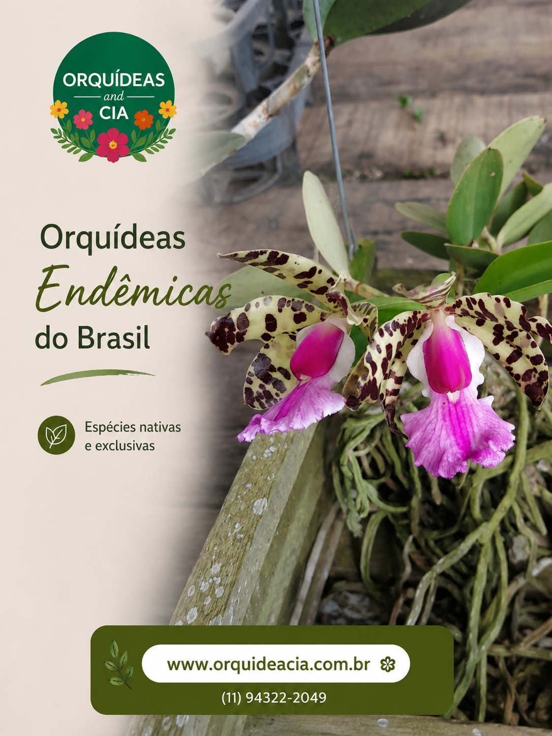orquideasendemicas